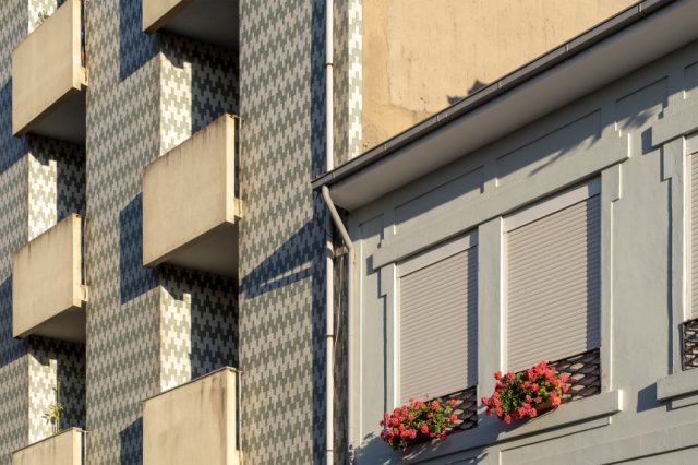 Image article